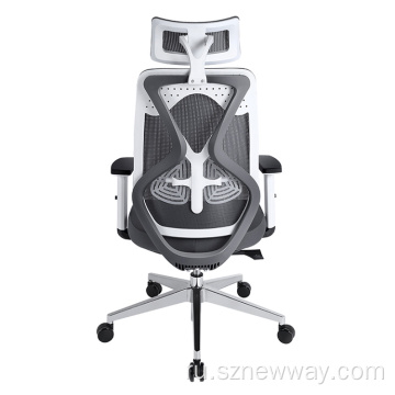 HBADA Office Racing Game Seat Country